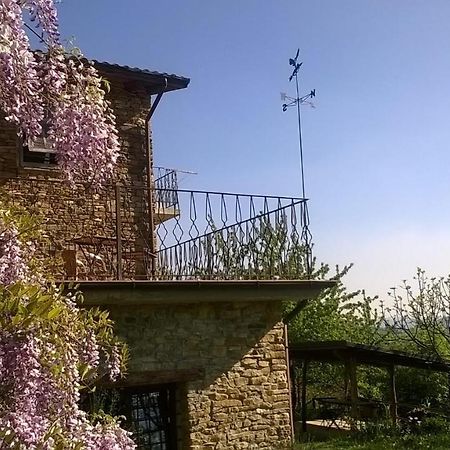 B&B La Civetta Ponzone エクステリア 写真